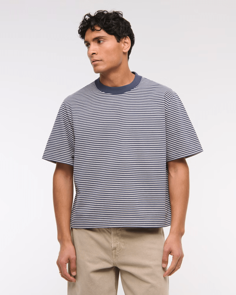 Premium Heavyweight Cropped Tee  sapphire stripe